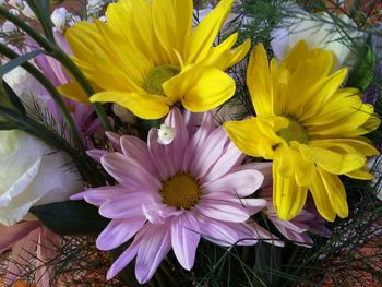 Close-up of yellow flowers
