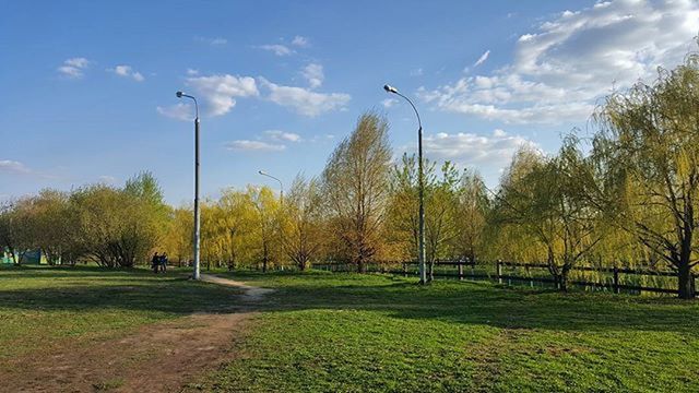 tree, sky, grass, tranquility, tranquil scene, growth, green color, nature, park - man made space, beauty in nature, scenics, cloud - sky, landscape, field, street light, cloud, grassy, autumn, sunlight, outdoors