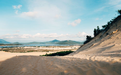 Scenic view of beach against sky