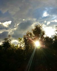 Silhouette of trees against cloudy sky