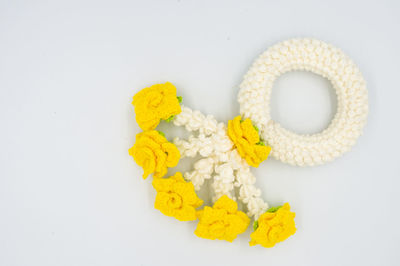 High angle view of yellow flowers on white background