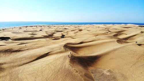 Scenic view of beach against clear sky