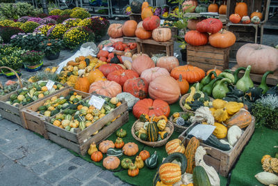 View of pumpkins at market