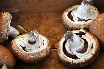 Close-up of dessert on table