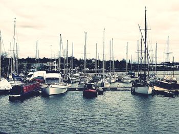 Sailboats moored in harbor at sunset