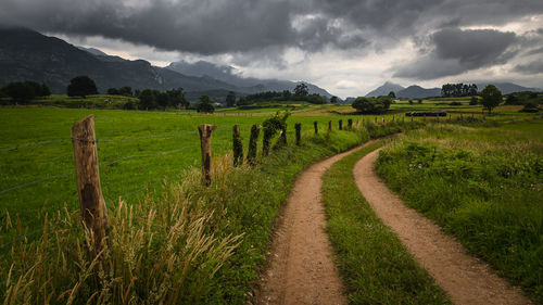 Scenic view of agricultural field against sky