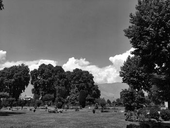 People relaxing in park against sky