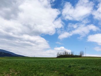 Scenic view of agricultural field against sky