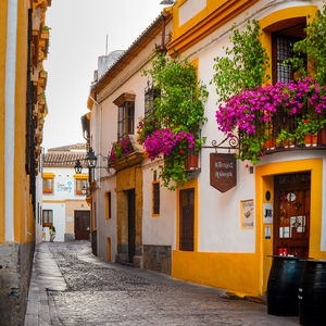 Street amidst houses and buildings in city