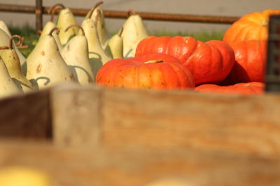 Close-up of vegetables