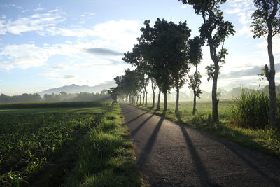 Scenic view of field against sky during sunset
