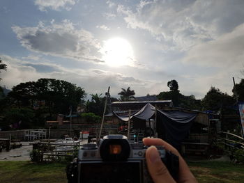 Sun shining through trees