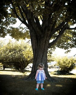 Full length of girl standing on tree trunk