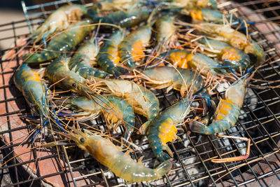 High angle view of crab on barbecue