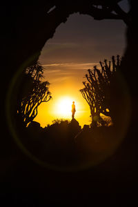 Close-up of silhouette tree against orange sky