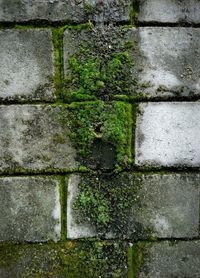 Full frame shot of wall