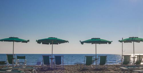 Parasols and deck chairs at beach against clear blue sky