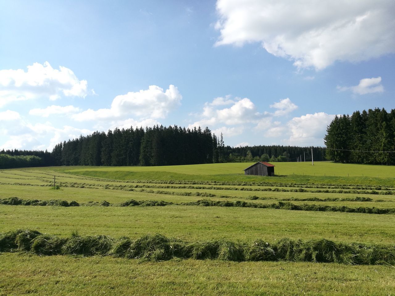 VIEW OF GREEN LANDSCAPE AGAINST SKY