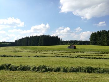 Scenic view of field against sky