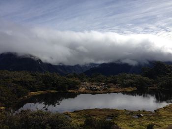 Alpine wetland. south island. new zealand. 2015