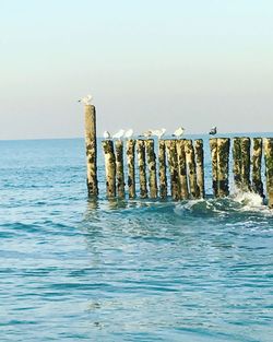 Scenic view of sea against clear sky