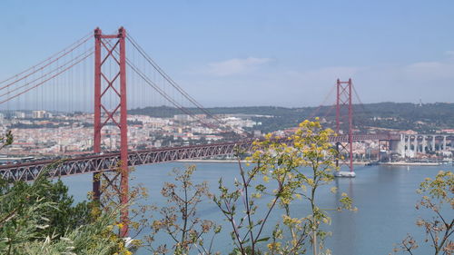 Suspension bridge over river in city