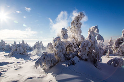 Snow covered landscape against sky