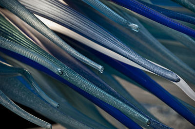 Close-up of wet blue glass decoration