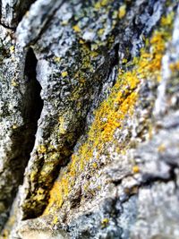 Close-up of rocks