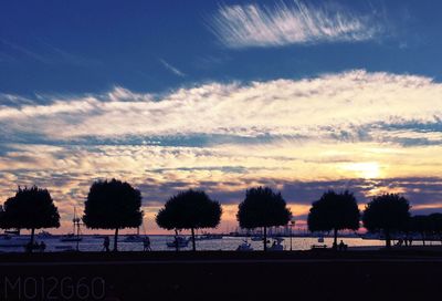 Silhouette trees against sky during sunset