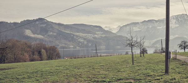 Scenic view of field against sky