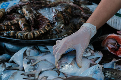 Close-up of fish for sale in market