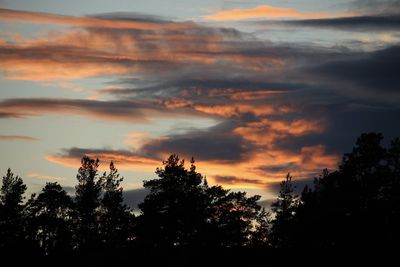 Low angle view of silhouette trees against dramatic sky