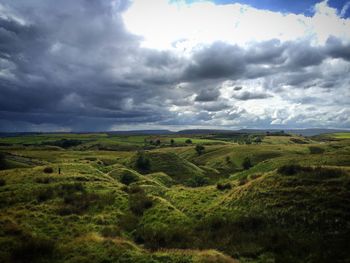 Scenic view of field against sky
