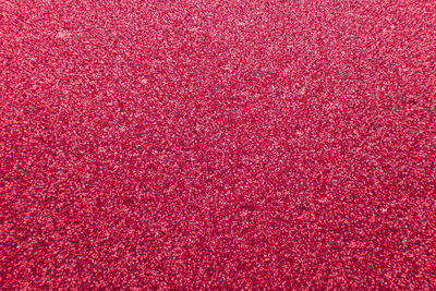 Full frame shot of pink red petals