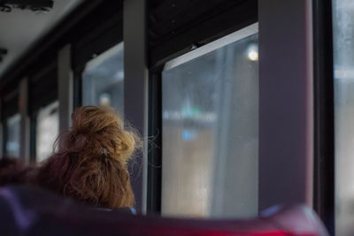 Rear view of woman looking through train window