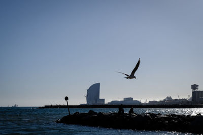 Seagull flying over sea against sky