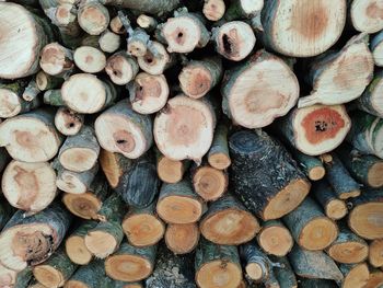 Full frame shot of logs in forest