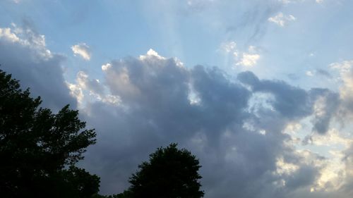 Low angle view of trees against cloudy sky