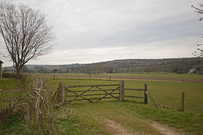 Scenic view of field against sky