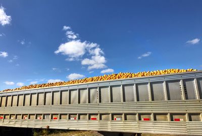 Low angle view of train against sky