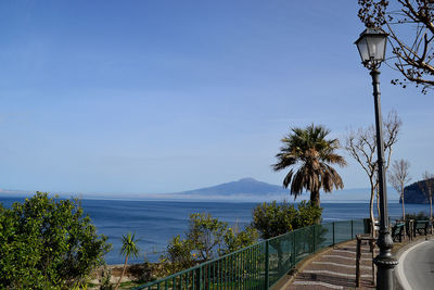 Scenic view of palm trees by sea against sky