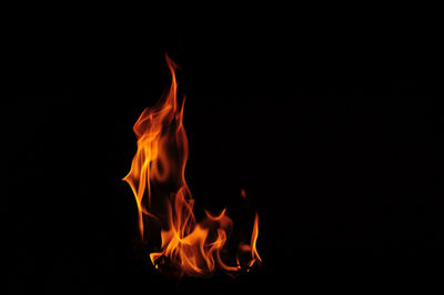 Close-up of bonfire against black background