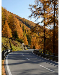 Road amidst trees against sky during autumn