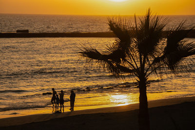 Silhouette people on beach during sunset