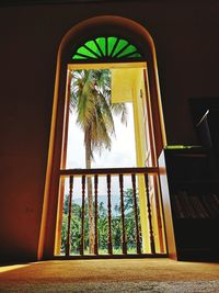 Low angle view of palm trees against sky seen through window