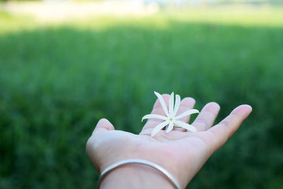 Close-up of hand holding small flower