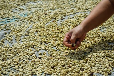 High angle view of human hand
