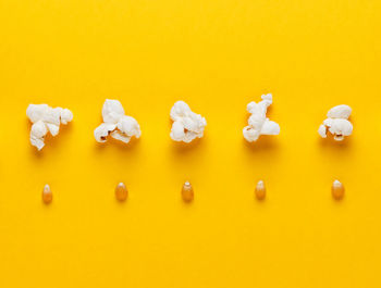 Close-up of cake against white background