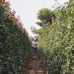 Rear view of woman standing on tree against sky